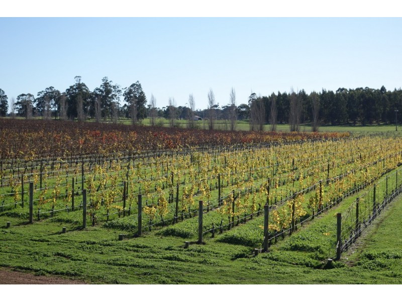 679 Calgardup Road, Forest Grove WA 6286