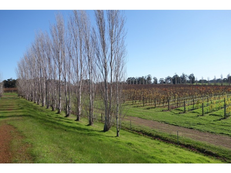 679 Calgardup Road, Forest Grove WA 6286