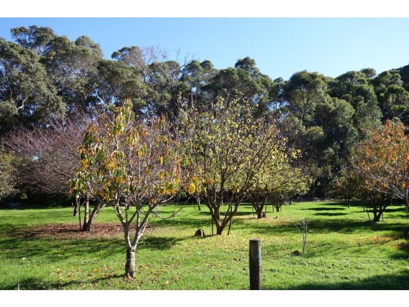 679 Calgardup Road, Forest Grove WA 6286