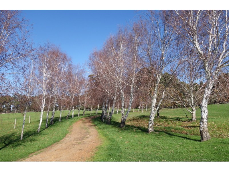 679 Calgardup Road, Forest Grove WA 6286