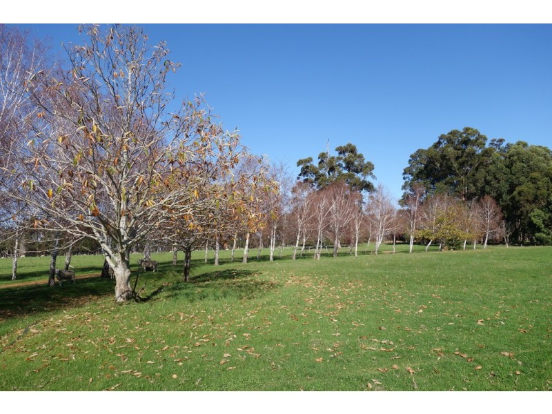 679 Calgardup Road, Forest Grove WA 6286