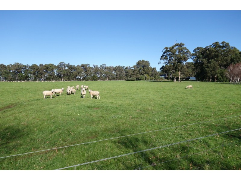 679 Calgardup Road, Forest Grove WA 6286