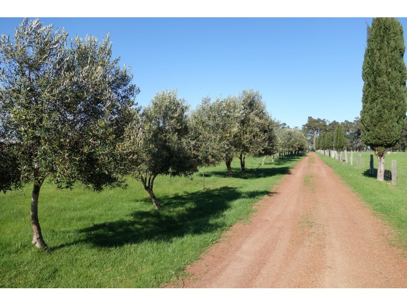 679 Calgardup Road, Forest Grove WA 6286