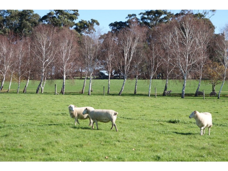 679 Calgardup Road, Forest Grove WA 6286