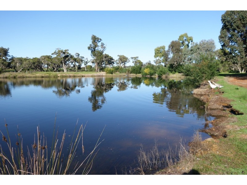 1191 Vasse Yallingup Siding Road, Quindalup WA 6281