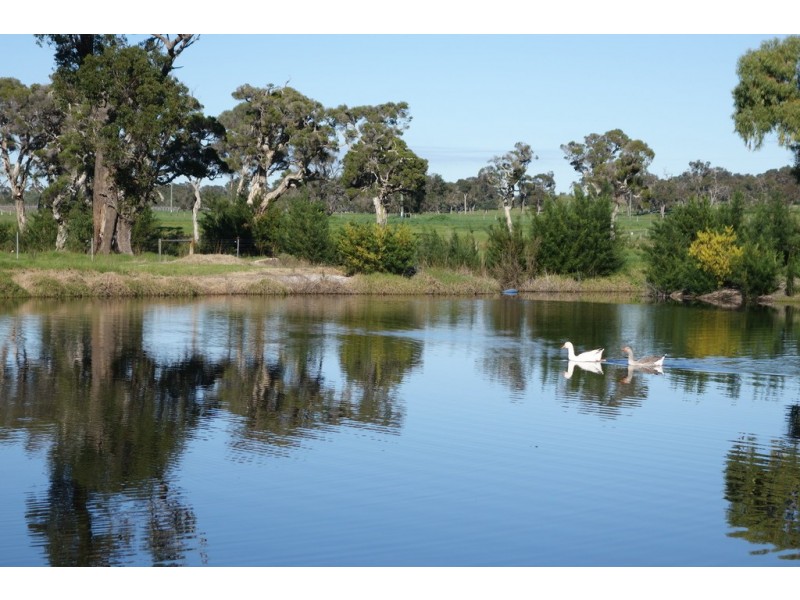 1191 Vasse Yallingup Siding Road, Quindalup WA 6281