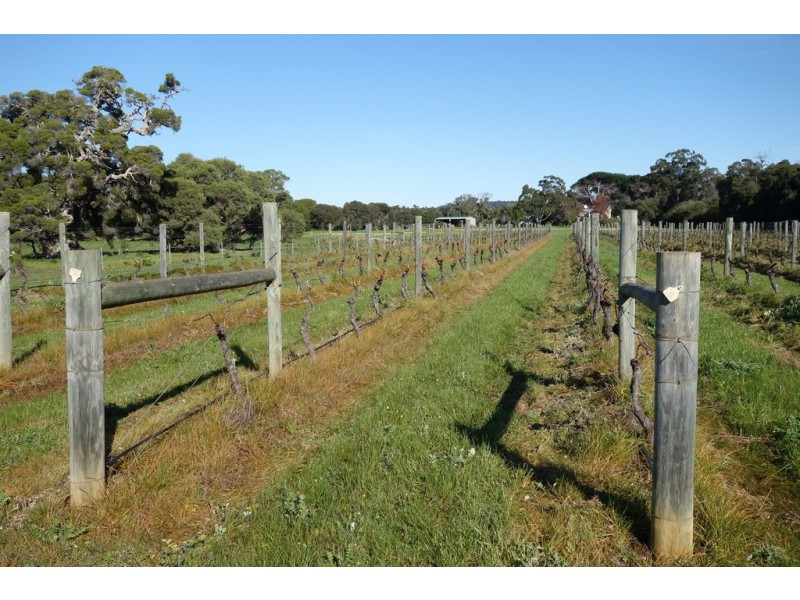 1191 Vasse Yallingup Siding Road, Quindalup WA 6281