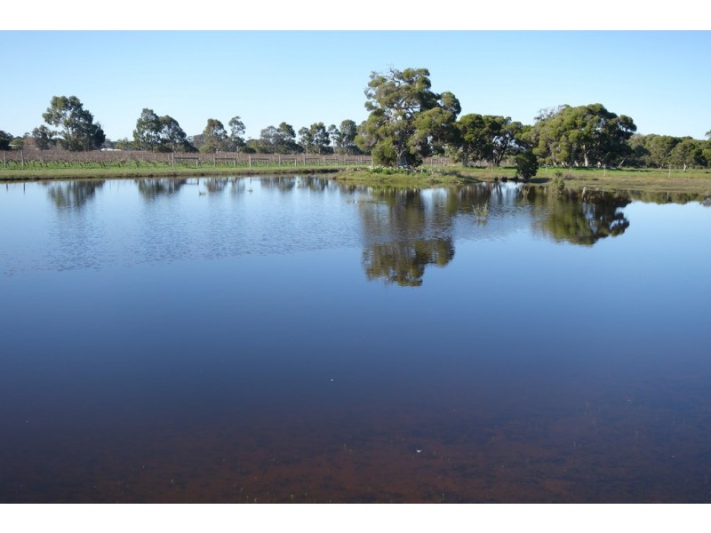 1191 Vasse Yallingup Siding Road, Quindalup WA 6281