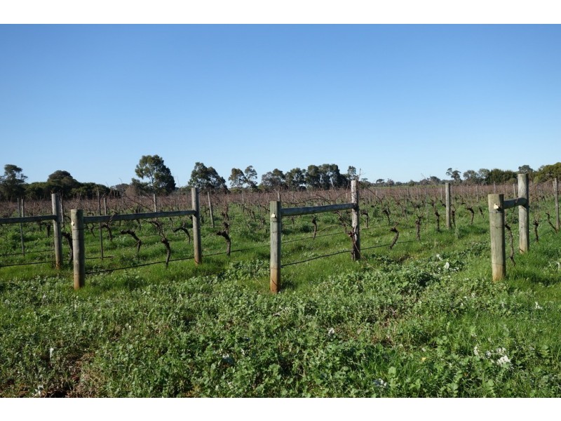 1191 Vasse Yallingup Siding Road, Quindalup WA 6281