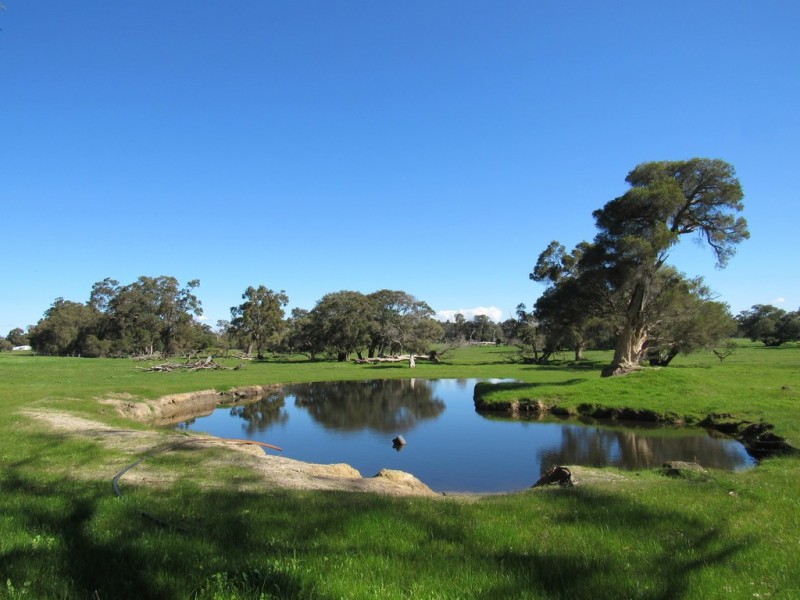 469 Edwards Road, Ambergate WA 6280