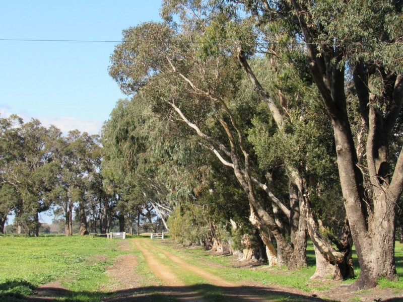 469 Edwards Road, Ambergate WA 6280