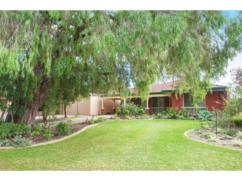 8 Greyteal Place, Broadwater WA 6280