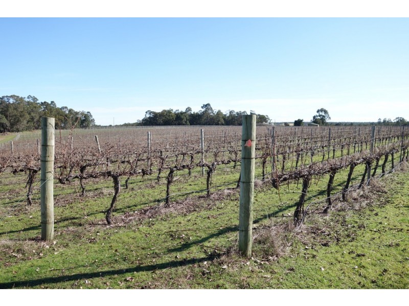 2062 Rosa Brook Road, Rosa Brook WA 6285