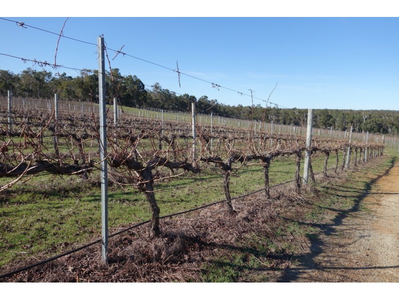 2062 Rosa Brook Road, Rosa Brook WA 6285