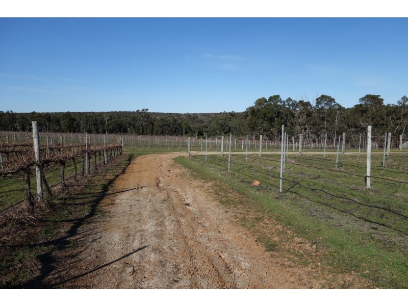 2062 Rosa Brook Road, Rosa Brook WA 6285