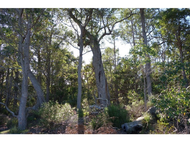 2062 Rosa Brook Road, Rosa Brook WA 6285