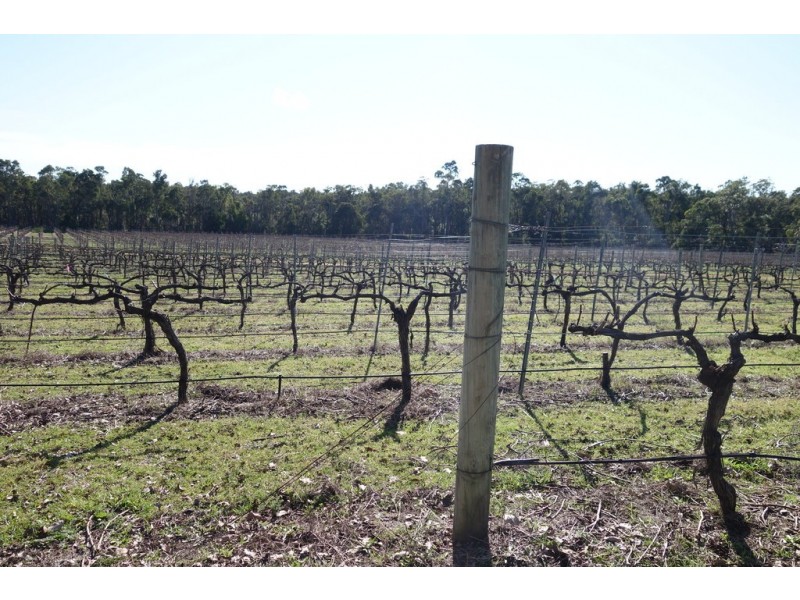 2062 Rosa Brook Road, Rosa Brook WA 6285