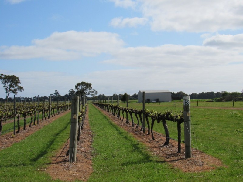 316 North Jindong Road, North Jindong WA 6280