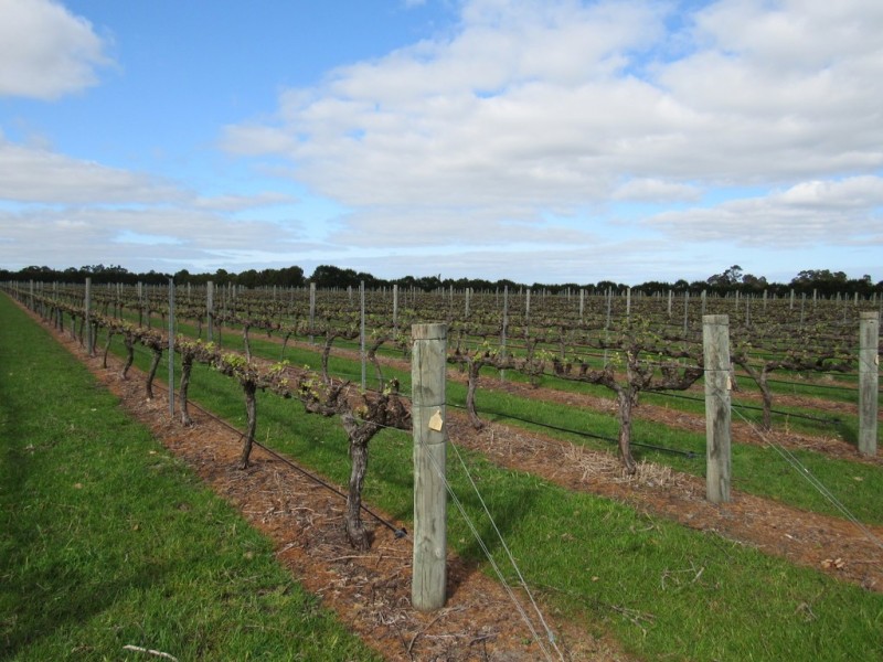 316 North Jindong Road, North Jindong WA 6280