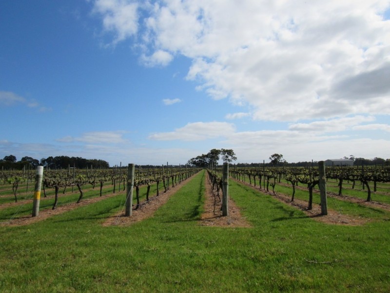 316 North Jindong Road, North Jindong WA 6280