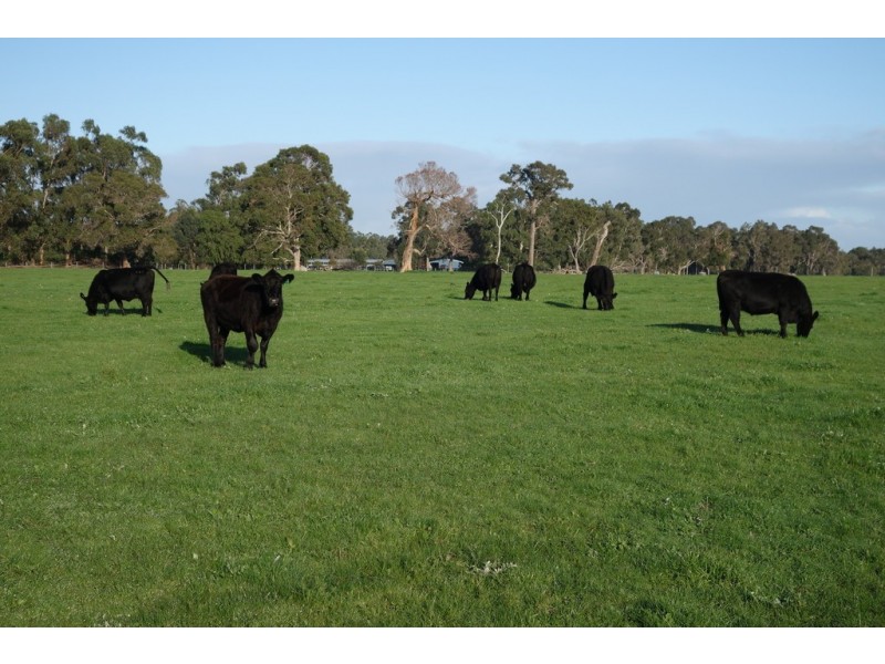 362 North Jindong Road, North Jindong WA 6280