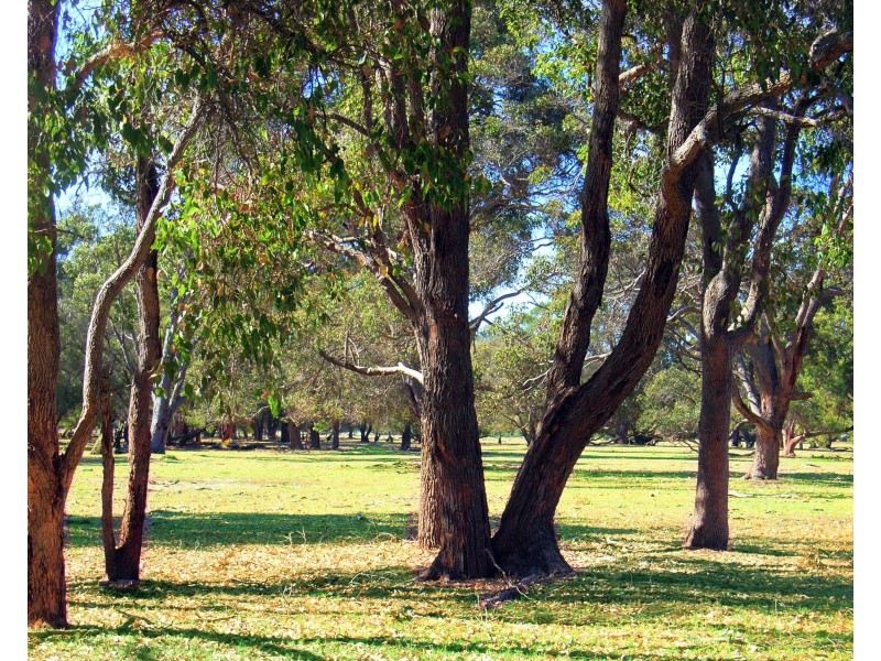 Lots 1 – 10 & Lots 19 – 24 The Woods on Rendezvous, Vasse WA 6280