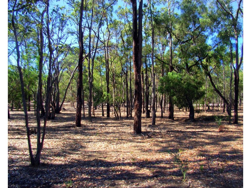 Lots 1 – 10 & Lots 19 – 24 The Woods on Rendezvous, Vasse WA 6280