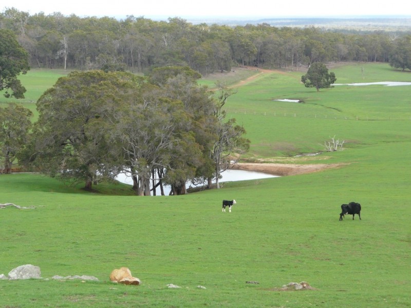 L1125/11 White Road, Cundinup WA 6275