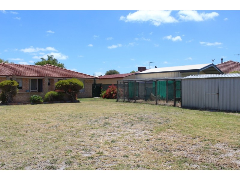 3 Shearwater Place, Geographe WA 6280