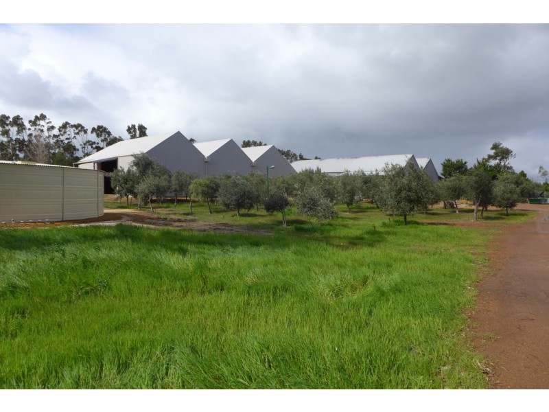 3314 Caves Road, Wilyabrup WA 6280