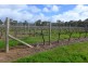 3314 Caves Road, Wilyabrup WA 6280