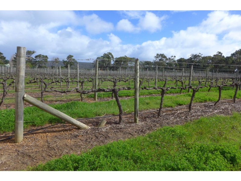 3314 Caves Road, Wilyabrup WA 6280