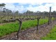 3314 Caves Road, Wilyabrup WA 6280