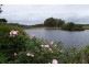 252 Roy Road, Metricup WA 6280