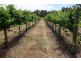 252 Roy Road, Metricup WA 6280