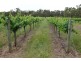 252 Roy Road, Metricup WA 6280