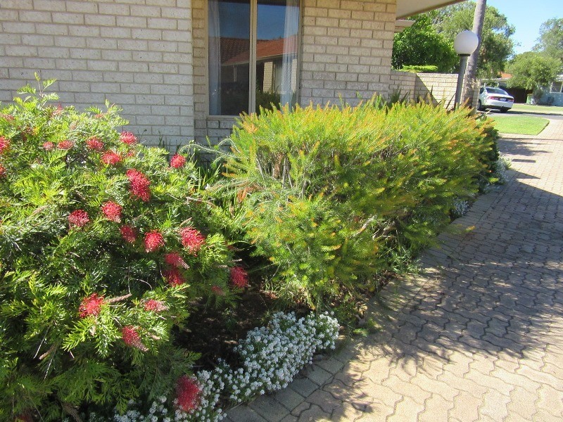 5/7-9 Orchid Court, Geographe WA 6280