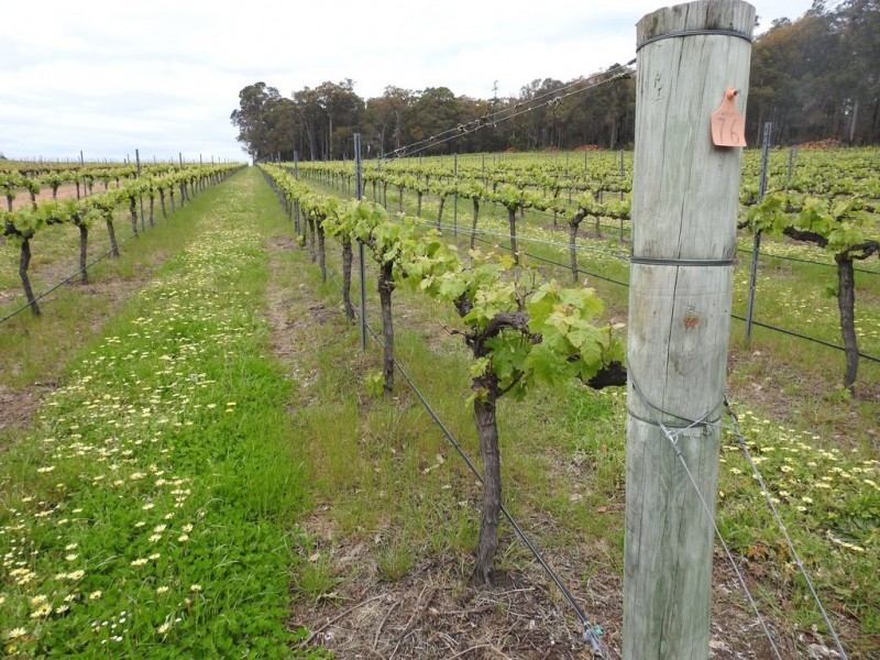 15 Donaldson Road, Cowaramup WA 6284