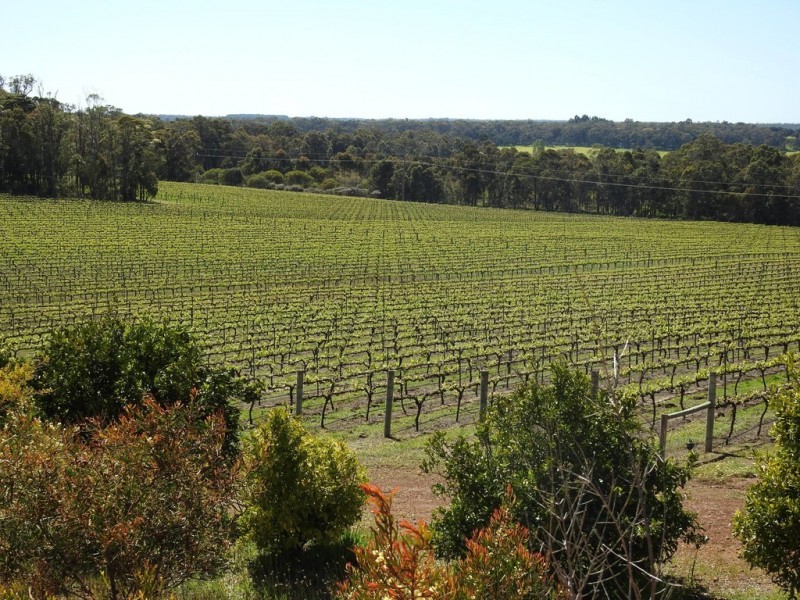 15 Donaldson Road, Cowaramup WA 6284