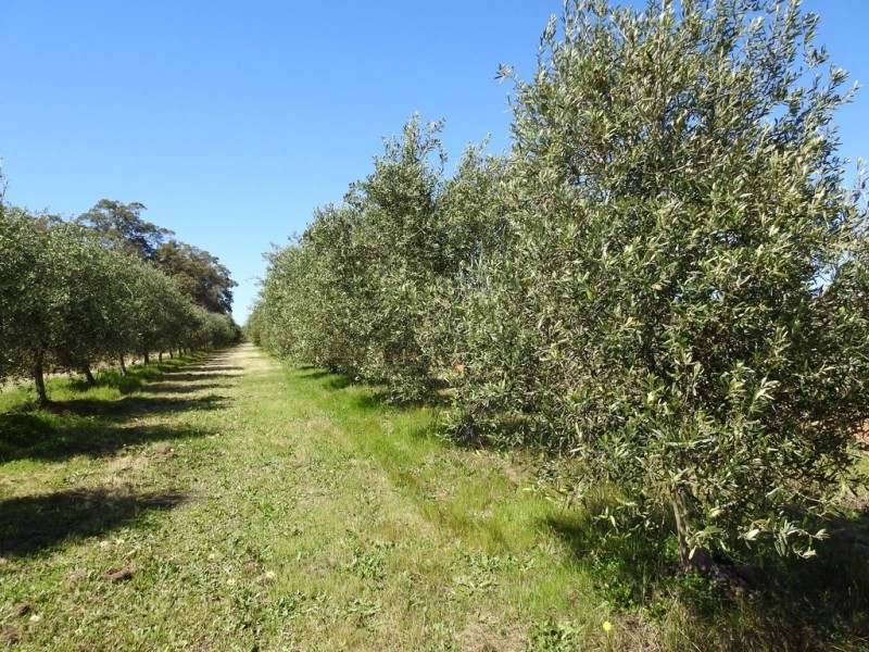 15 Donaldson Road, Cowaramup WA 6284