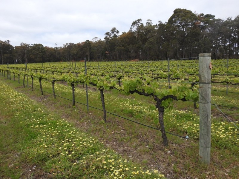 15 Donaldson Road, Cowaramup WA 6284