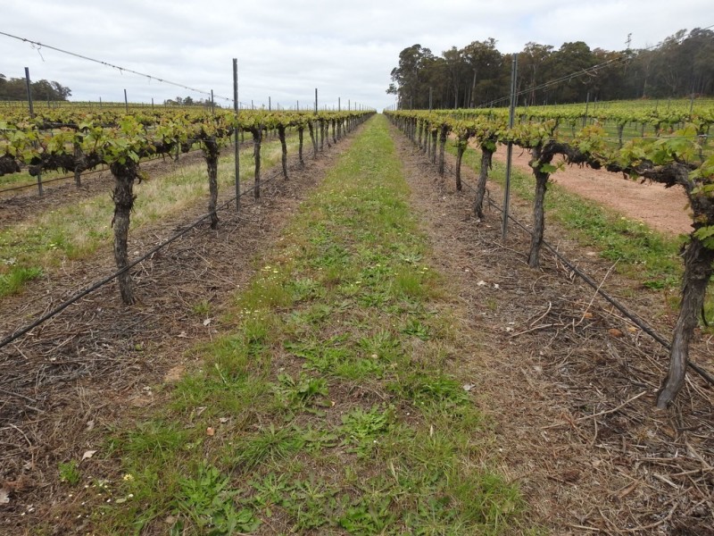 15 Donaldson Road, Cowaramup WA 6284