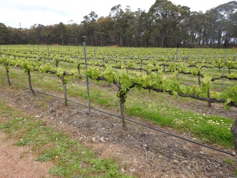 15 Donaldson Road, Cowaramup WA 6284