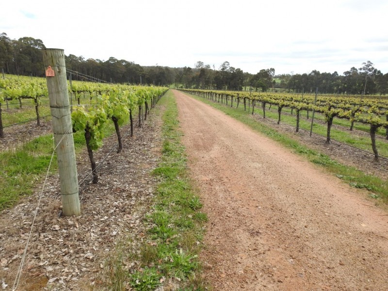 15 Donaldson Road, Cowaramup WA 6284