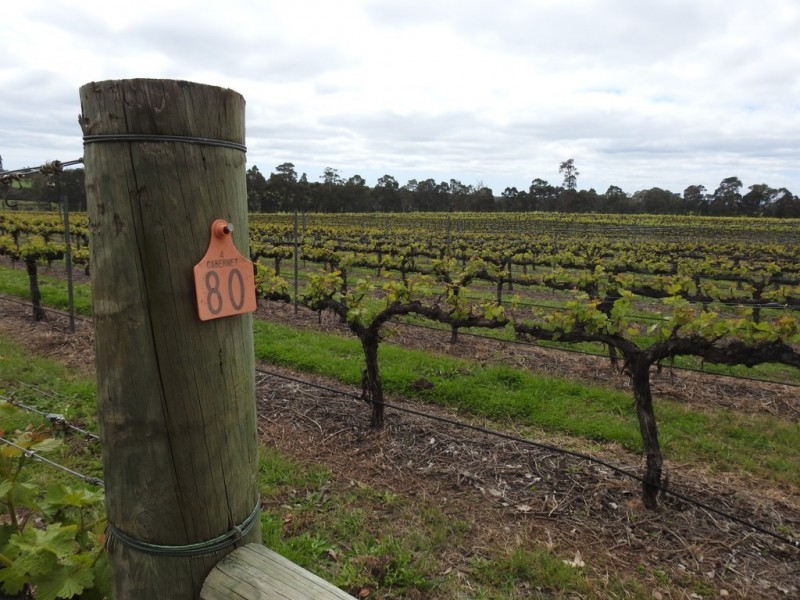 15 Donaldson Road, Cowaramup WA 6284