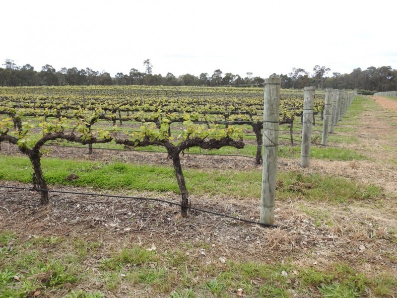 15 Donaldson Road, Cowaramup WA 6284