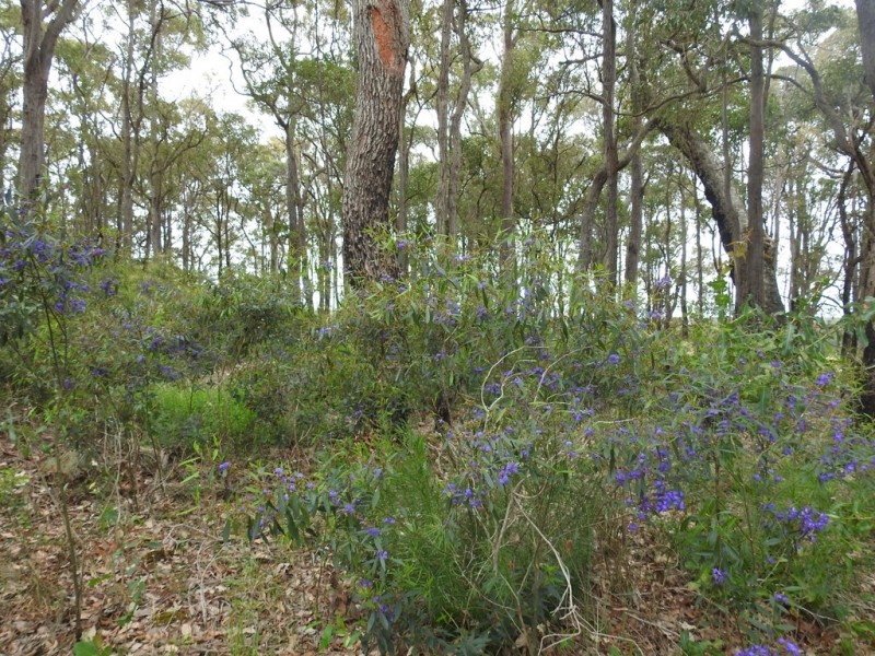 15 Donaldson Road, Cowaramup WA 6284