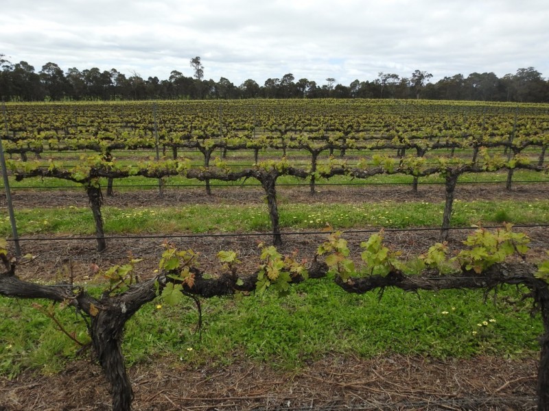 15 Donaldson Road, Cowaramup WA 6284