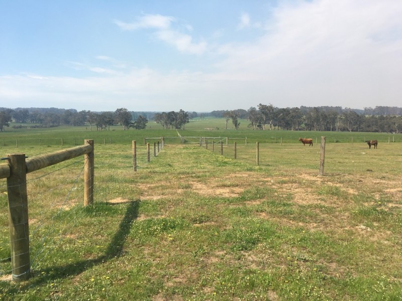 2110 Treeton Road North, Cowaramup WA 6284