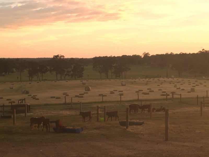 2110 Treeton Road North, Cowaramup WA 6284